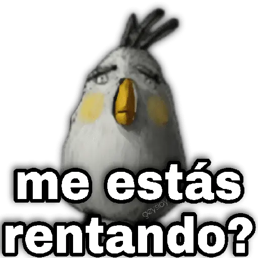 Memes Angry birds 🕳️🐦😶‍🌫️
