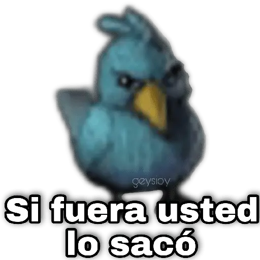 Memes Angry birds 🕳️🐦😶‍🌫️
