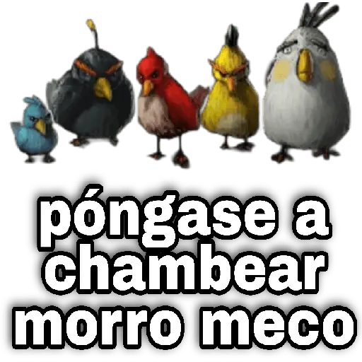 Memes Angry birds 🕳️🐦😶‍🌫️