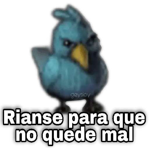 Memes Angry birds 🕳️🐦😶‍🌫️