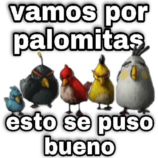 Memes Angry birds 🕳️🐦😶‍🌫️
