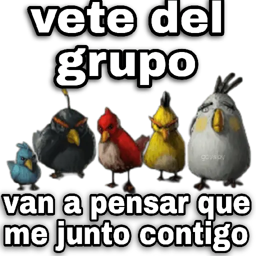 Memes Angry birds 🕳️🐦😶‍🌫️
