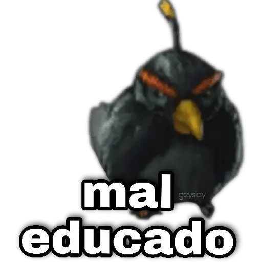 Memes Angry birds 🕳️🐦😶‍🌫️