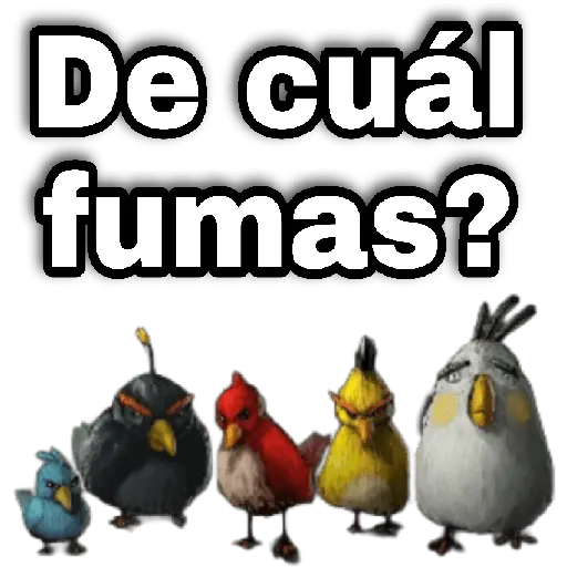 Memes Angry birds 🕳️🐦😶‍🌫️
