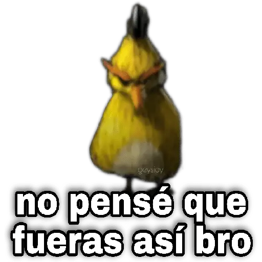 Memes Angry birds 🕳️🐦😶‍🌫️