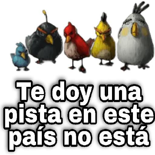 Memes Angry birds 🕳️🐦😶‍🌫️