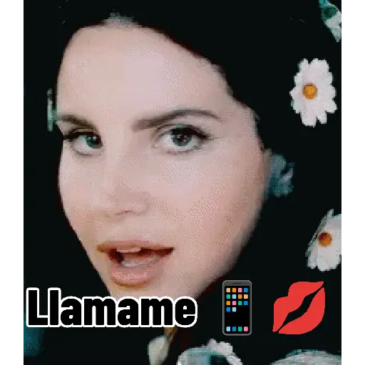 Coqueta memes