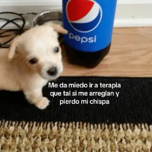 💥PAL GRUPO💥💬 2
