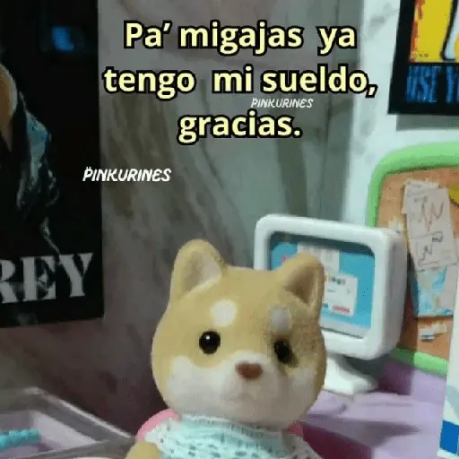 💥PAL GRUPO💥💬 2