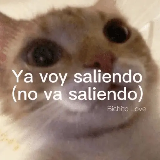 💥PAL GRUPO💥💬 2