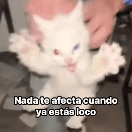 💥PAL GRUPO💥💬 2