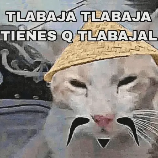 💥PAL GRUPO💥💬 2
