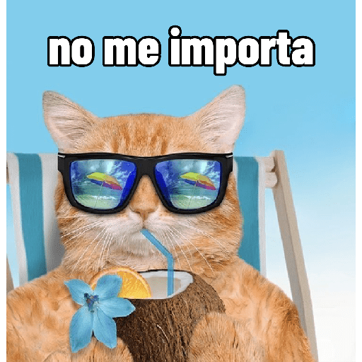 Michis con calor 🥵🥵 preview