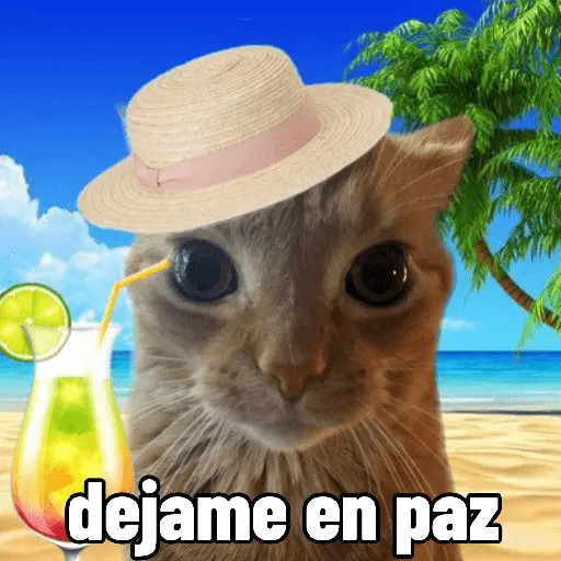Michis con calor 🥵🥵