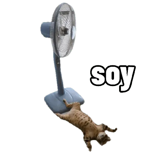 Michis con calor 🥵🥵