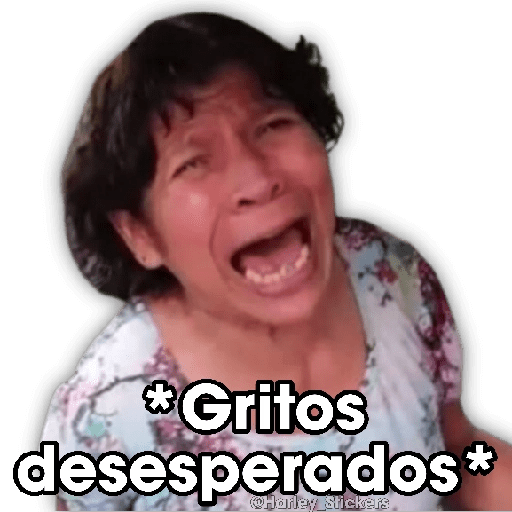 💬✹ MEMES PA RESPONDER ✹💬 preview