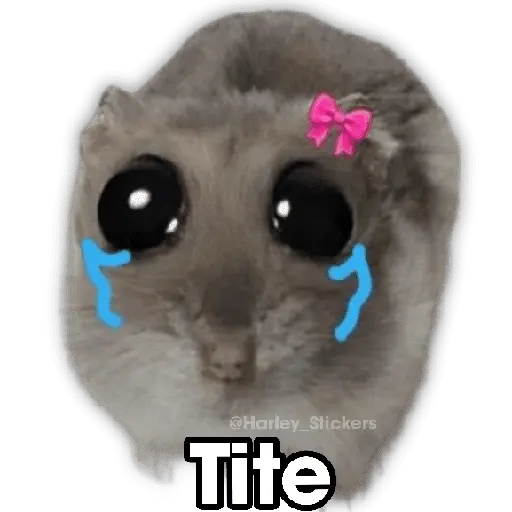 💬✹ MEMES PA RESPONDER ✹💬