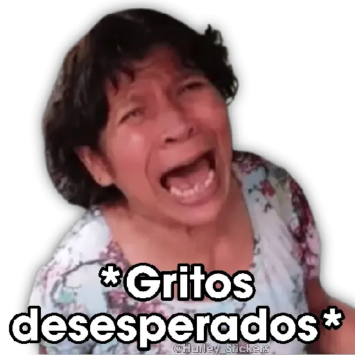 💬✹ MEMES PA RESPONDER ✹💬