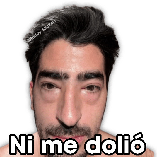 💬✹ MEMES PA RESPONDER ✹💬 preview