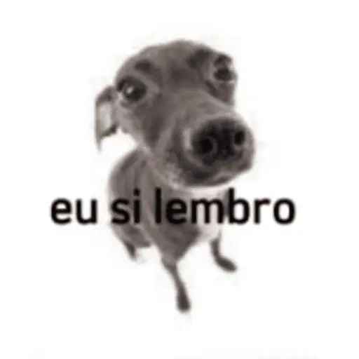 Memes diversos 