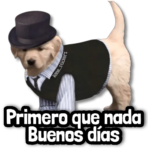 🎨 Stickers sin Filtro #➏ 🎨