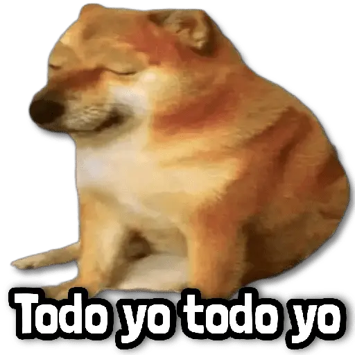 🎨 Stickers sin Filtro #➏ 🎨