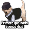 🎨 Stickers sin Filtro #➏ 🎨