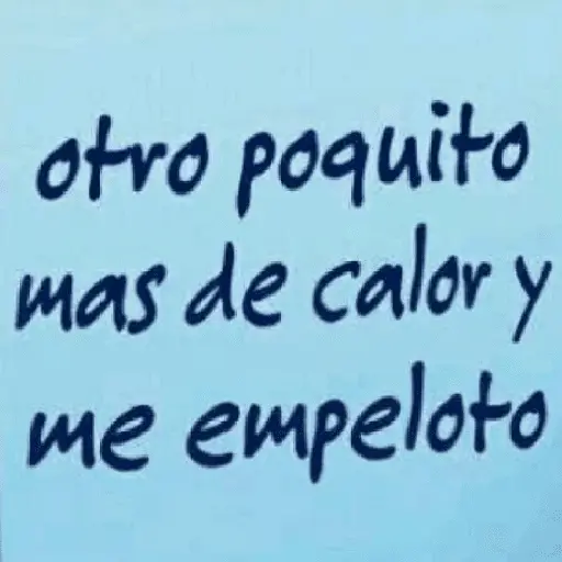 Frases del Calor 🫠