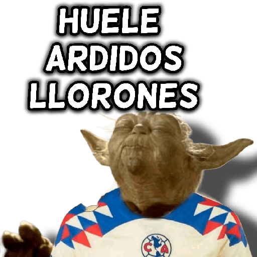 América 👑⚽ preview