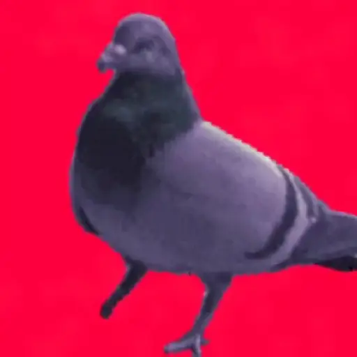 🎵 TIKTOKeando 36🎵