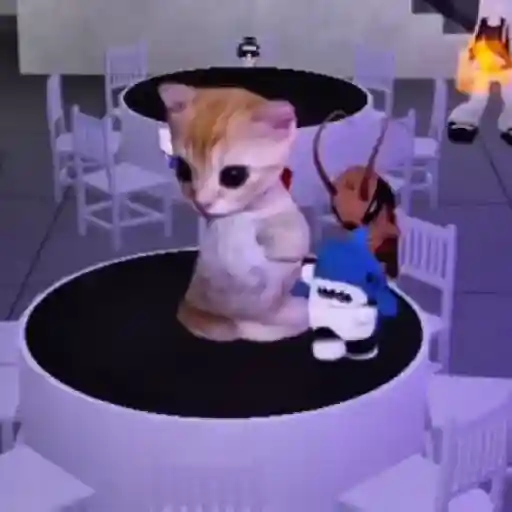 🎵 TIKTOKeando 36🎵