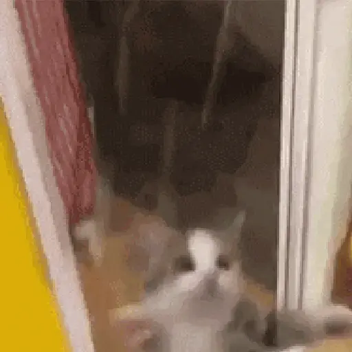 🎵 TIKTOKeando 36🎵