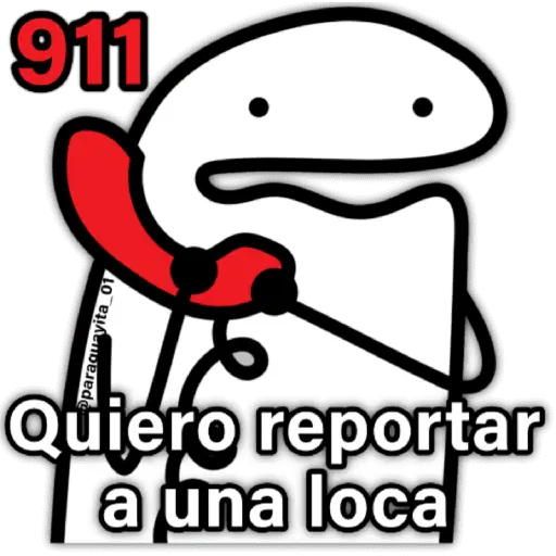 🌈Flork Mix 19🧦