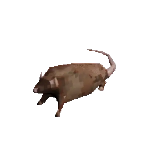 rata bailando 