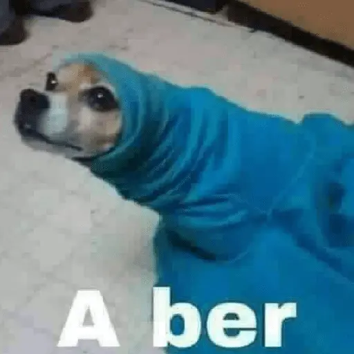 💥Shitpost 52💣