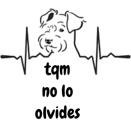 COQUETA 