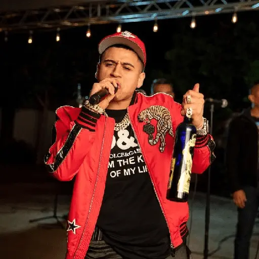 Fuerza Regida 🎤🎶🎙✨