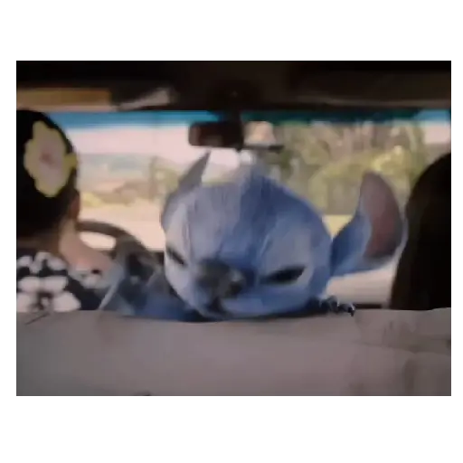 Stitch | Movie 💙🎦