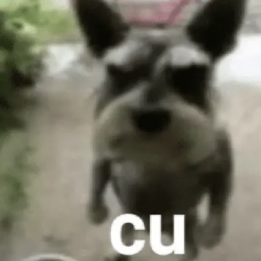Memes. | @ocenferios  𝐇aki.