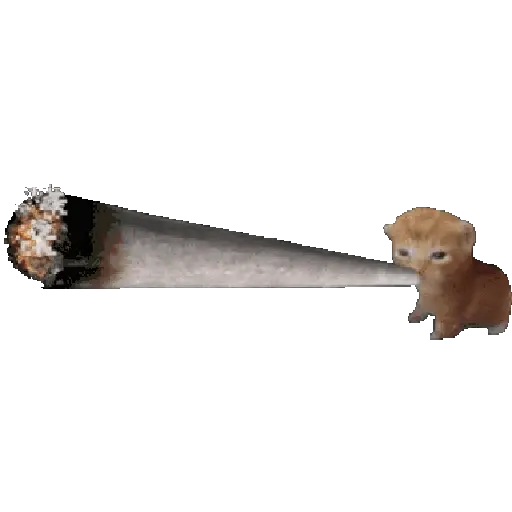 pa la peda 2