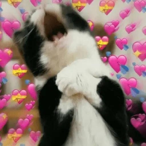 💞💖 AMOR 6 💖💞