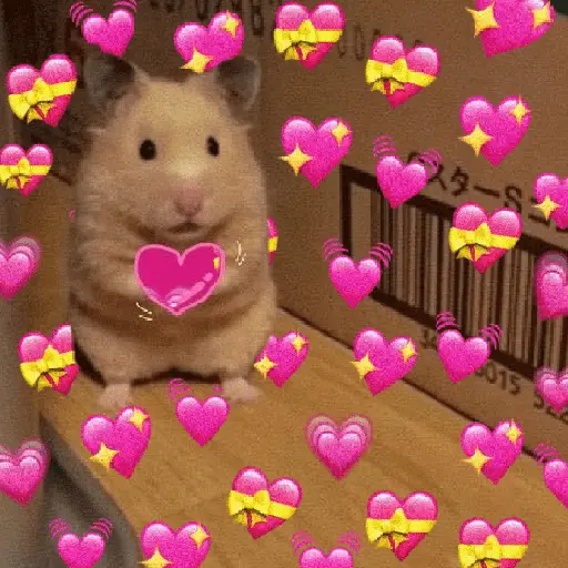 💞💖 AMOR 6 💖💞