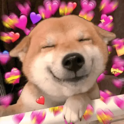 💞💖 AMOR 6 💖💞