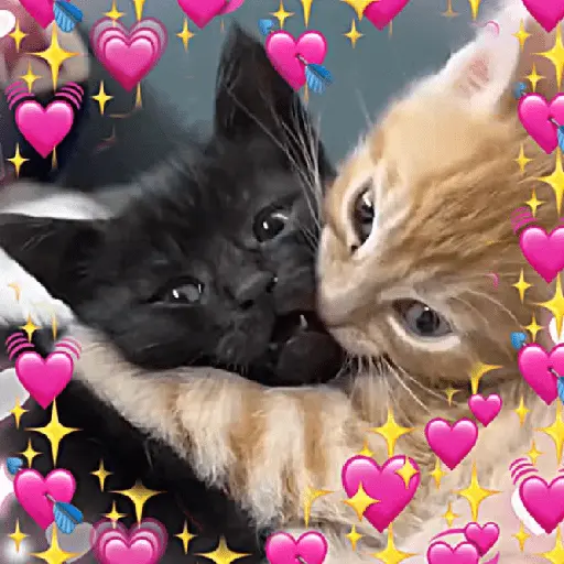 💞💖 AMOR 6 💖💞