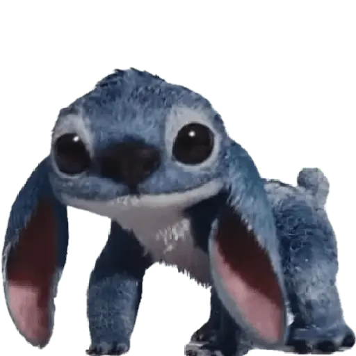 Stitch 💙