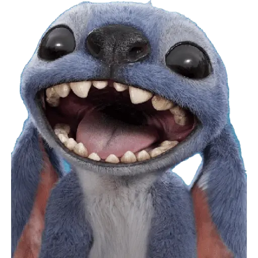 Stitch 💙