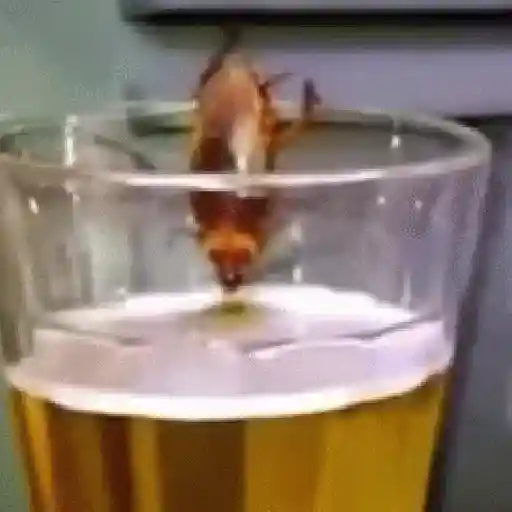 pa la peda 2 😎
