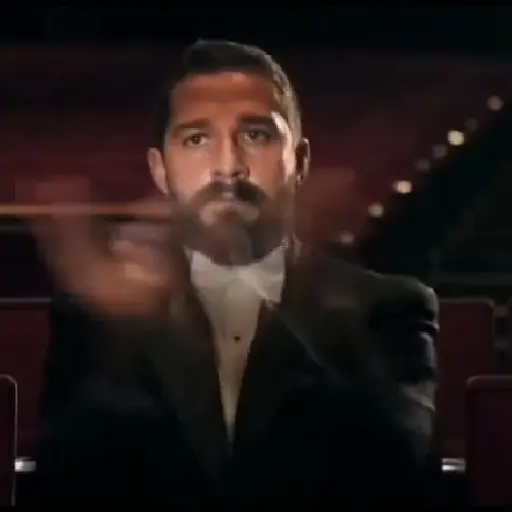 Memes animados Tiktok