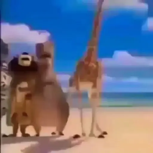 Memes animados Tiktok