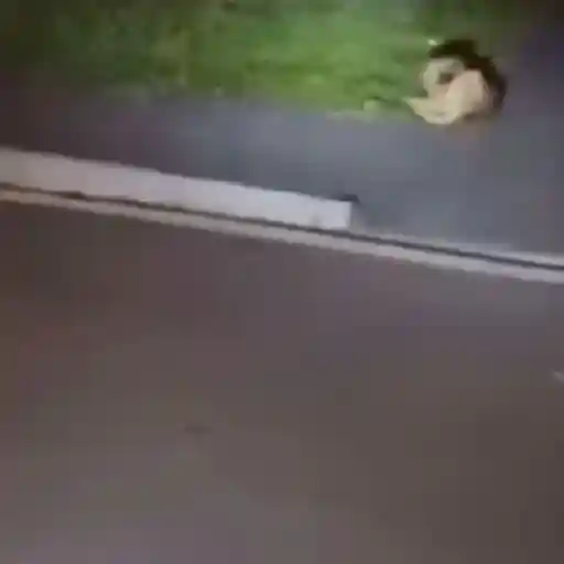 Memes animados Tiktok